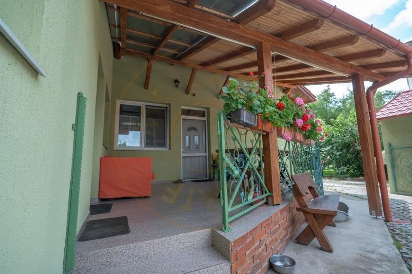 De Vanzare Casa Vanatorilor 9 ari teren - 2