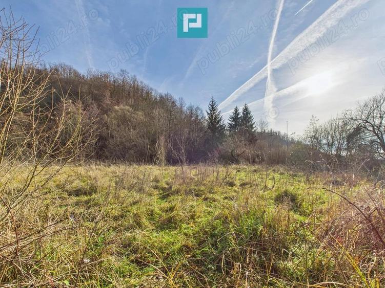 Vand casa D+P+E in Rosia Noua (com. Petris) - 14