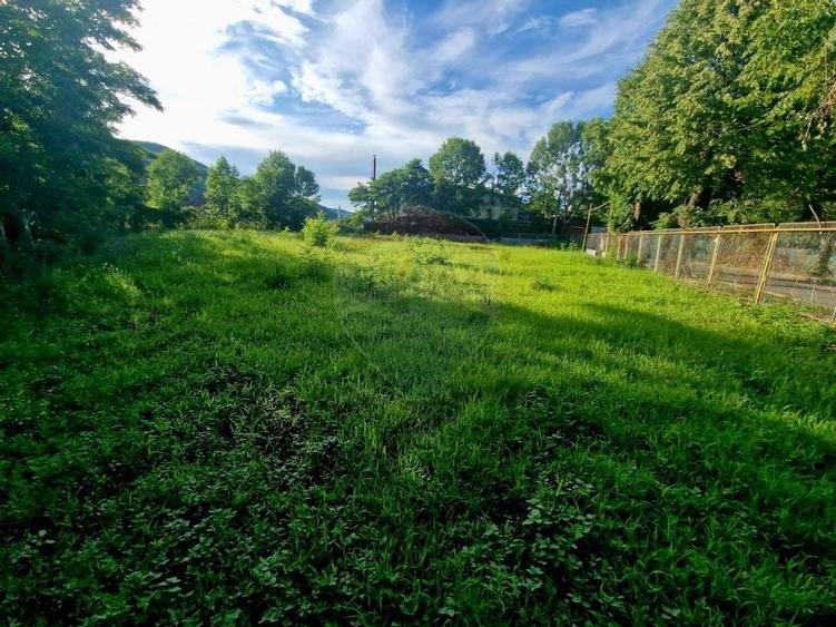 Teren 1,749mp Piatra-Neamt / Strada Zambilelor - 17