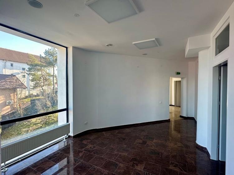 Imobil Clinica  Medicala zona Spitalul de Pediatrie si stadionul Nicolae Dobrin - 9