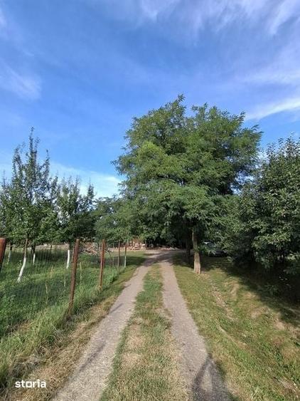 Teren de 1816 mp, în Central