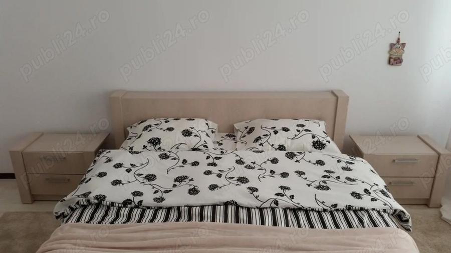 Inchiriez apartament ultracentral,2 camere 75m decomandat. Bd.Ferdinand Teatrul Fantasio. - 8