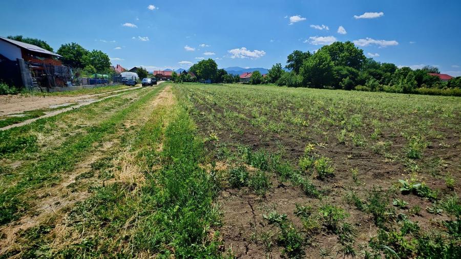 Teren intravilan in Stupini aproape de Centrul Cartierului 856 mp - 3
