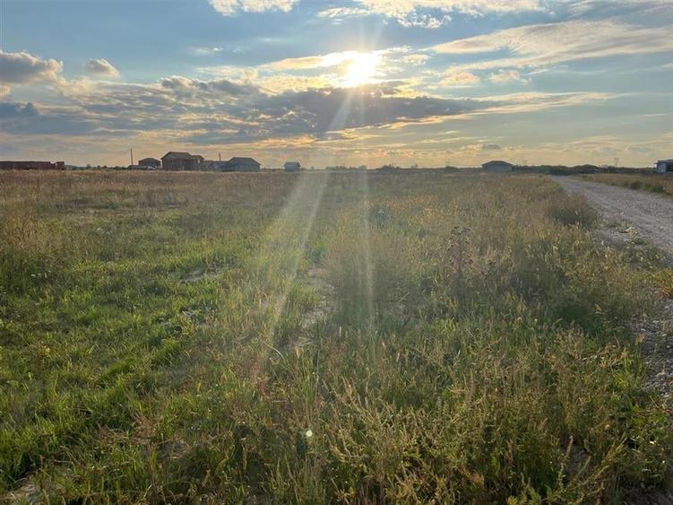 RECO Teren intravilan cu  PUZ aprobat Cihei-fundatia Nesu - 2