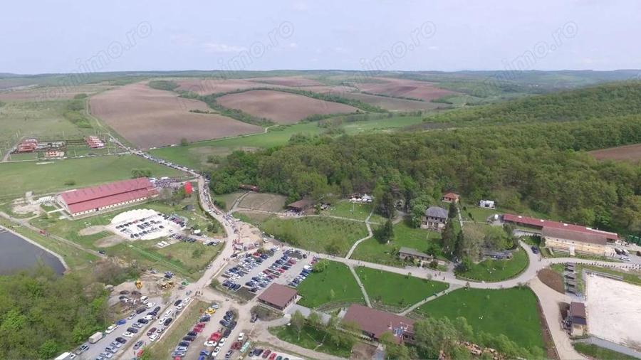 Domeniul Herneacova - 7