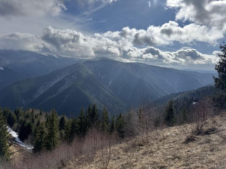 Vand teren Sat Maguri priveliste deosebita ! - 4