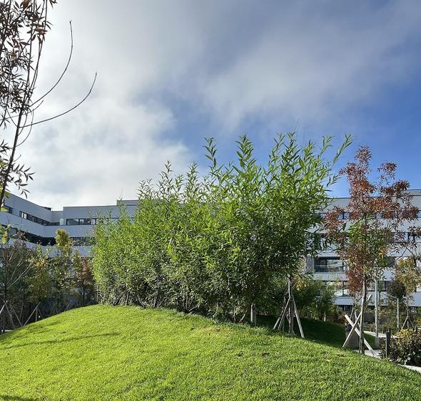 Sector 1 Apartament Nou 2 camere-64 mp util-reper Mall Colosseum - 9