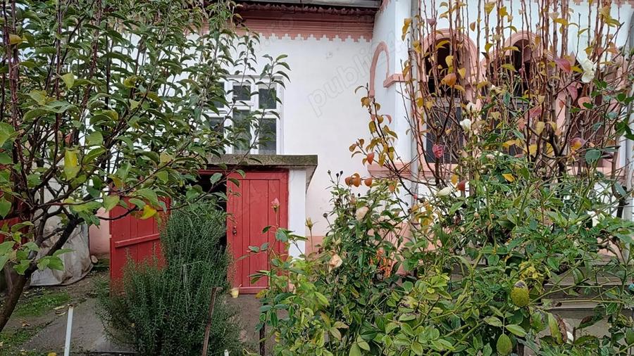 Vand casa locuibila alcatuita din 2 corpuri si cu teren de 1500 mp in sat Basarabi, jud Dolj - 3