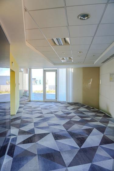 Birouri Piata Charles Gaulles, 301 mp, terasa 100mp, vedere Parcul Herastrau - 9