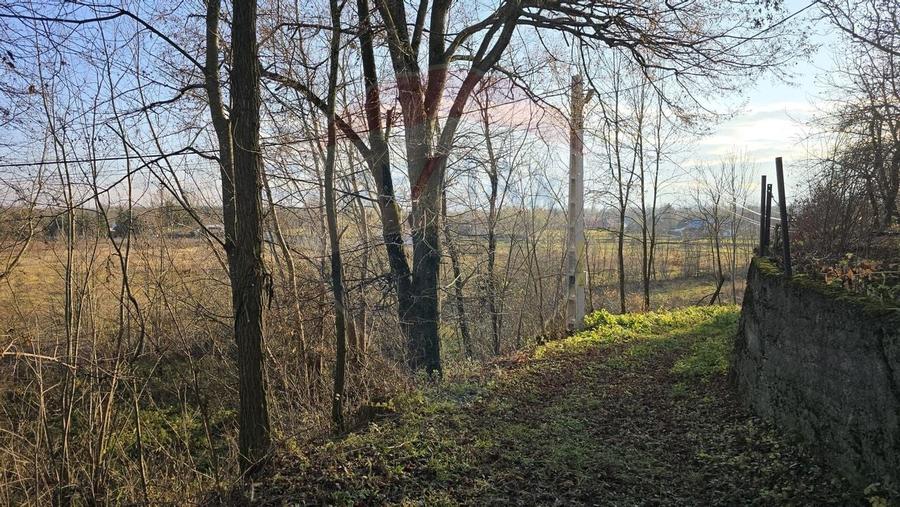 Teren  de vanzare in Fratautii Noi / Strada Dealului - 18