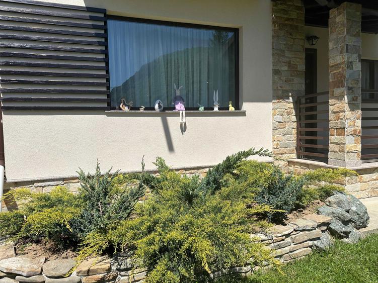 Vila-casa de vacanta Lepsa, Vrancea - 8