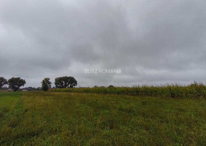 Teren intravilan, 5200mp, front 27ml, Fratautii Vechi, Radau