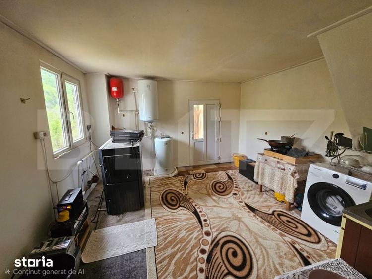 Cabana autentica cu 4565 mp teren, Liniste si Confort, Avram Iancu - 17
