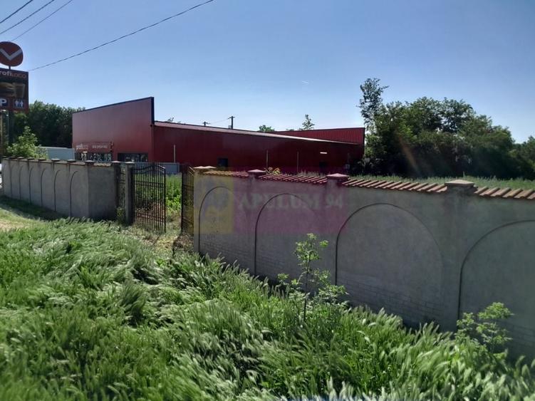 Movilita (IL)-teren de inch. 1800 mp stradal, 30 ml desch, langa Profi - 2