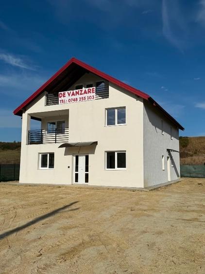 Proprietar-Casa în sat Dumbrava, Comuna Ciurea, Jud Iași, str. DJ 248D, nr. 385. - 10