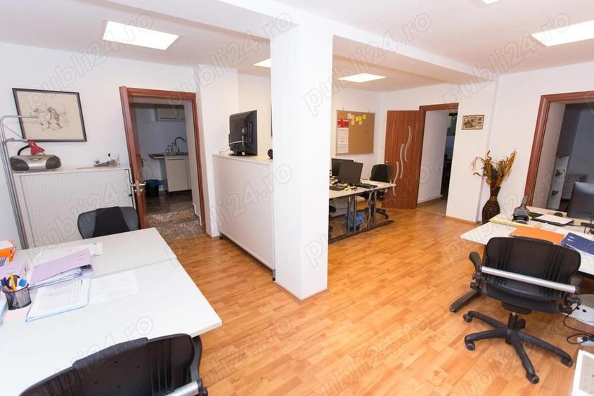 Spatiu de birou, demisol, vila, Parcul Carol Unirii, cu gradina - 8