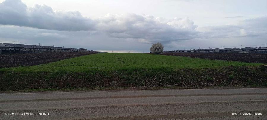 Teren Intravilan, Vorovesti 1 ha - 1