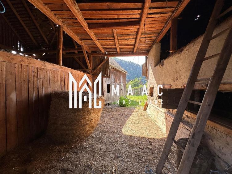 BLACK FRIDAY Casa individuala 3 camere | Teren | Gura Raului - 6