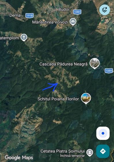 Vand casa la padure - 10