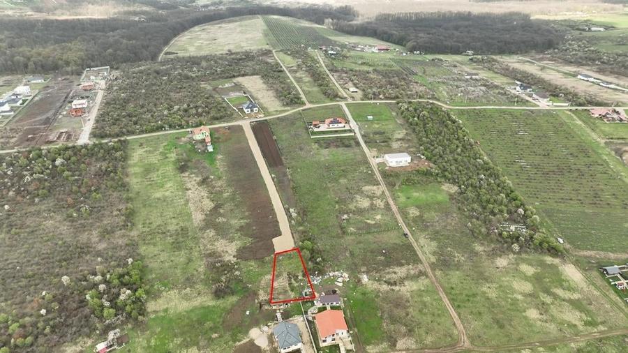 RECO, teren intravilan in Paleu - 2