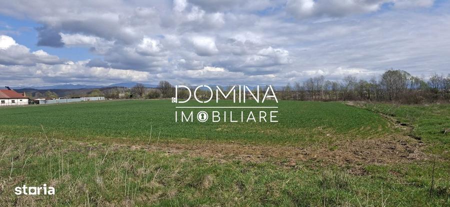 Teren intravilan 20.386 mp in Calnictraversat de rau, 19 km de Tg J - 4