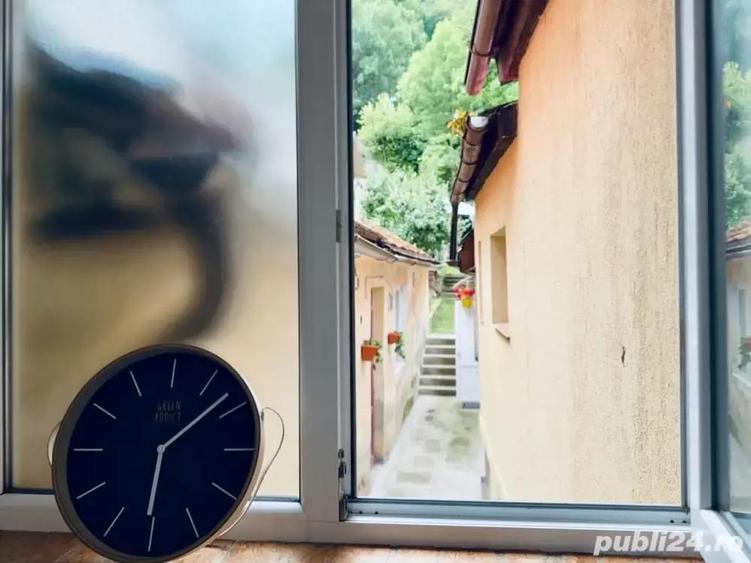 Garsoniera cocheta in centrul istoric Bra?ov - 2