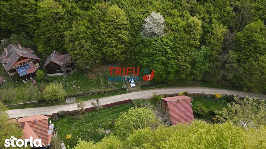 Casa de vacan?a la padure | Teren 891 mp | Valea Ighielului - 3
