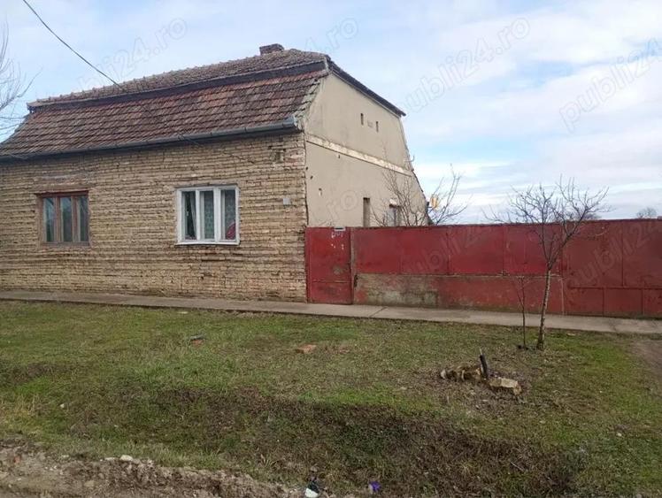 Vand casa in Lenauheim - 3