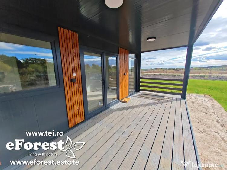 Lot lini?tit langa padure, langa Academia Titi Aur, Crevedia - 8