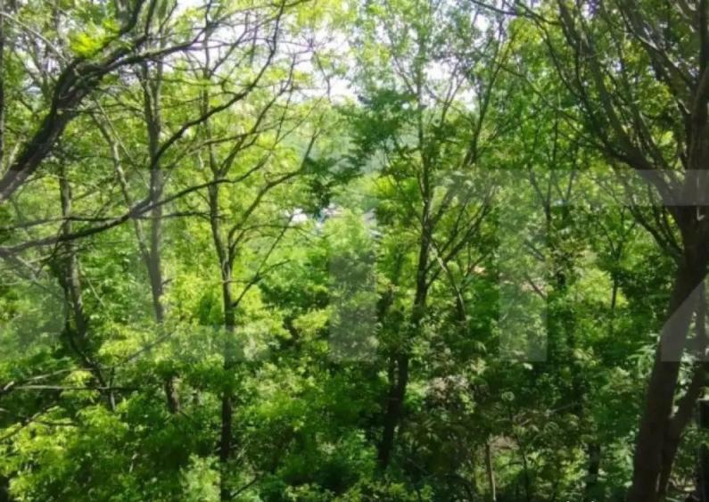 Casa 3 camere 64 mp, 250 mp, Sarariei - 1