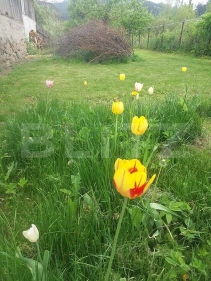 Vanzare Casa in Sacele - Locuinta cu Teren Generos cu Potential -de Renovat - 17