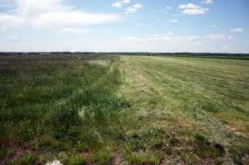 1,5 hectare de teren agricol situat in comuna Vladila din judetul Olt - 1