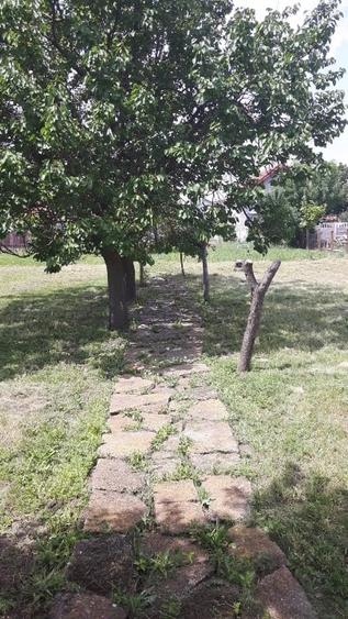 Vand teren cu casa in Utvin - 4