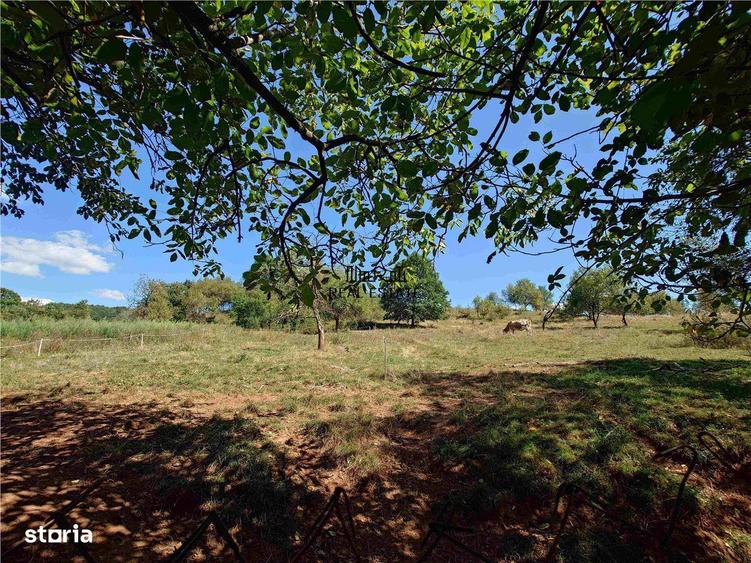 Teren intravilan si cladiri in Lunca - 13