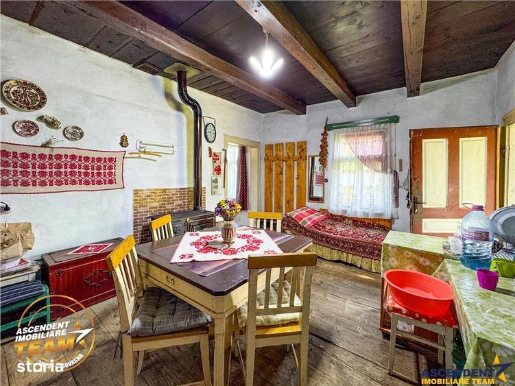 FILM! Proprietate traditionala,de poveste,cu 3.000 mp teren intravilan - 3