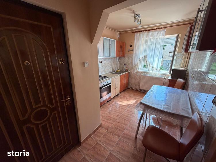 Apartament 2 camere de inchiriat - zona Cetate - 10