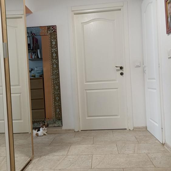 Apartament cu 3 camere decomandat în 1 Decembrie 1918