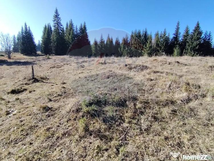 Teren de 16289 mp, în Coverca