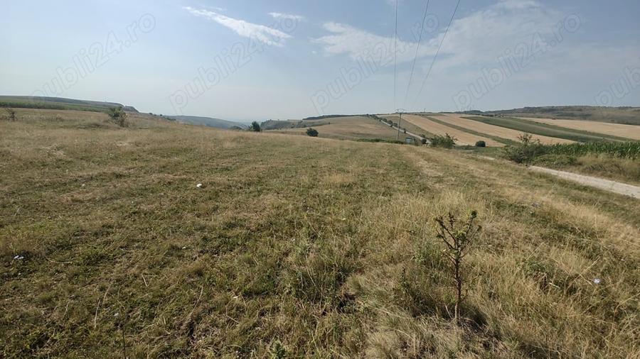 Teren de 5000 mp, în Tureni