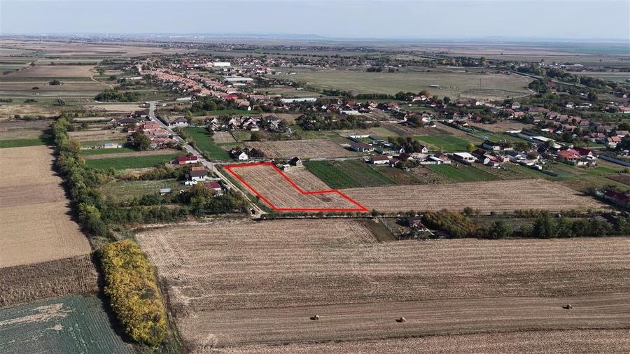 RECO Teren Cheresig 20 km de Oradea - 5