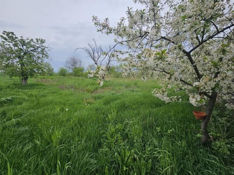 Casa in duplex Sibot - 5