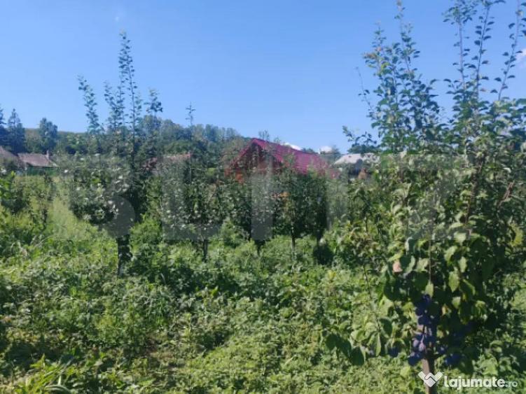 Casu?a tip foi?or, 30 mp, pe un teren de 3.000 mp, veder - 2