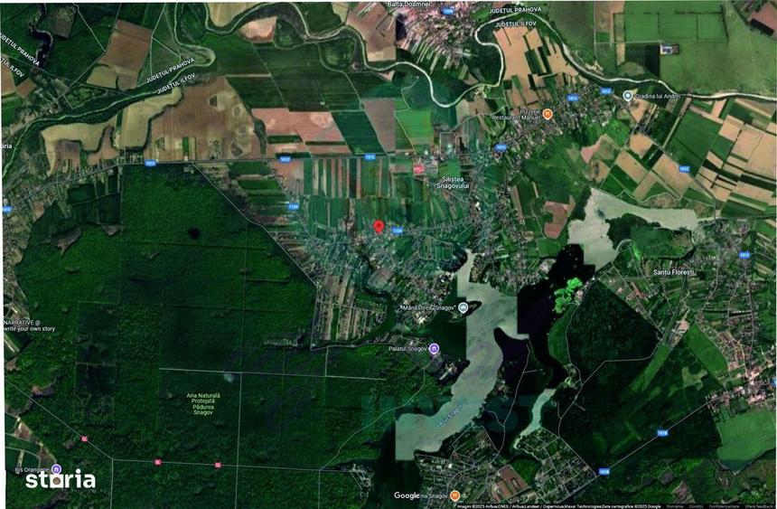 Teren 5000 mp pentru dezvoltare rezidentiala, Silistea Snagovului - 3