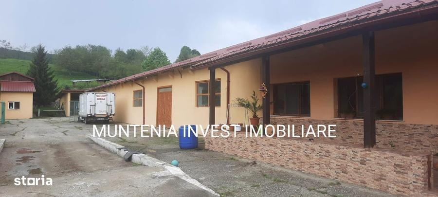 Proprietate de vanzare tip ferma, teren 28150 mp. Balilesti, Arges - 4