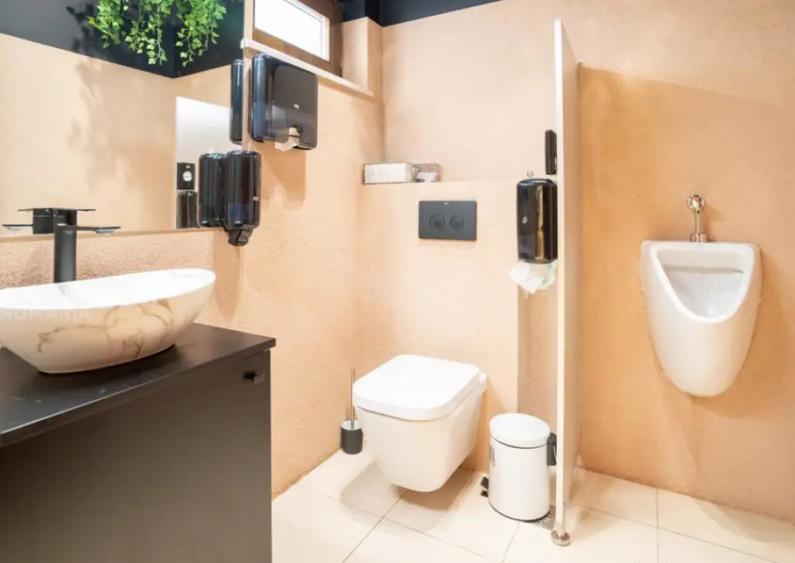 Vila Bld. Marasti Nr 10 | Demisol+Parter+Curte 350Mp | Kisel - 8