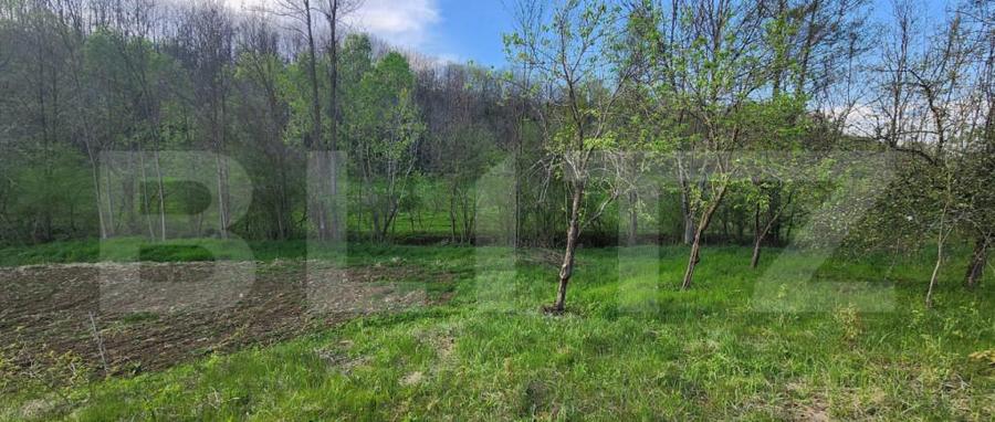 Teren 6650 mp, cu casa nefinalizata de 111 mp, in Nisipoasa - 9