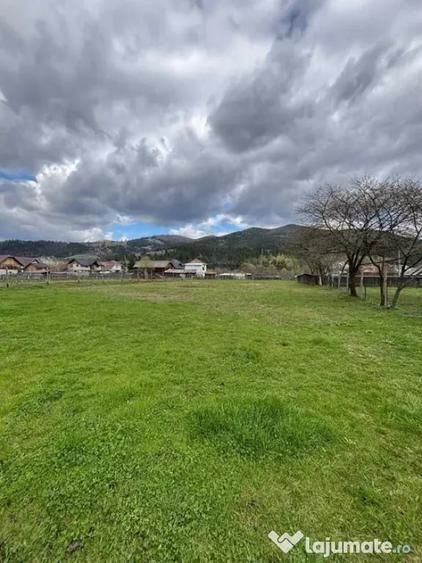 Teren de 3037 mp, în Vama