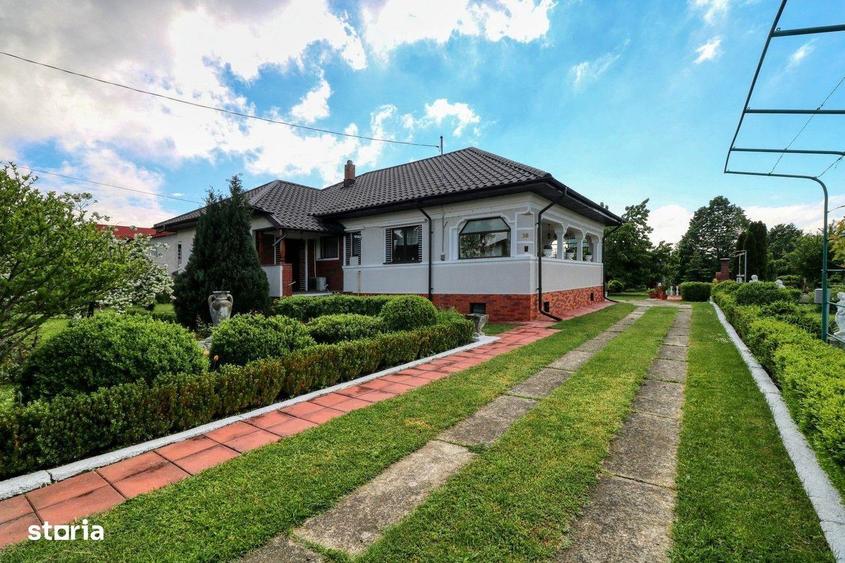 Oportunitate - Casa boiereasca de poveste- 7000 mp teren - 19