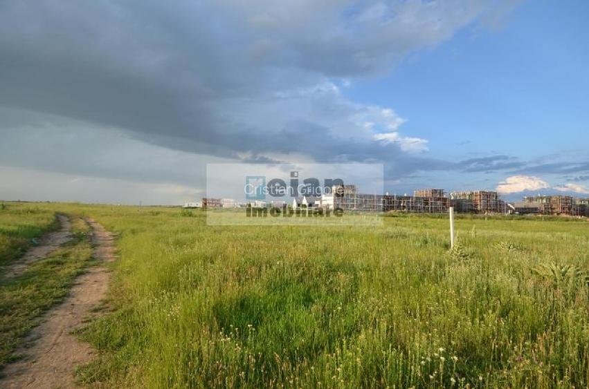 Voluntari - Matei Millo Teren 481 Mp Utili, Deschidere 20 Ml