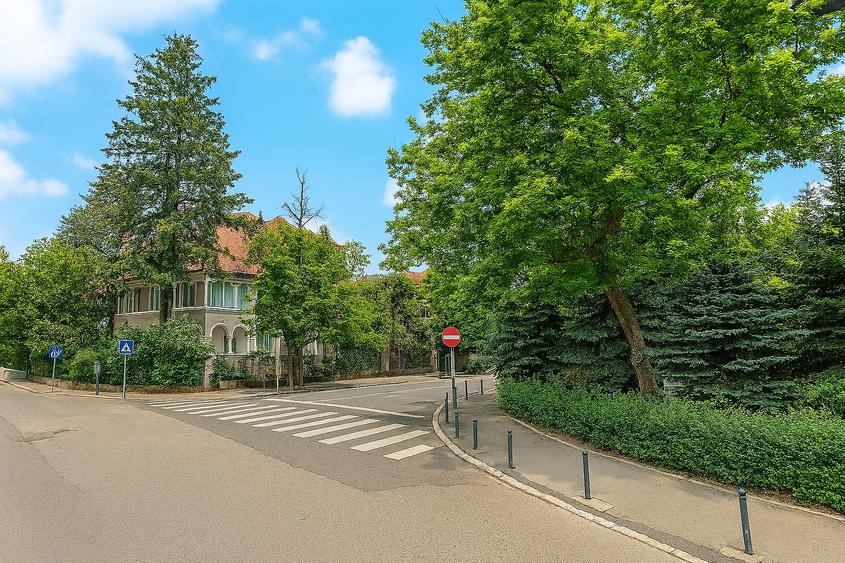 Dorobanti-vila cu arhitectura interbelica cu Autorizatie valabila - 4